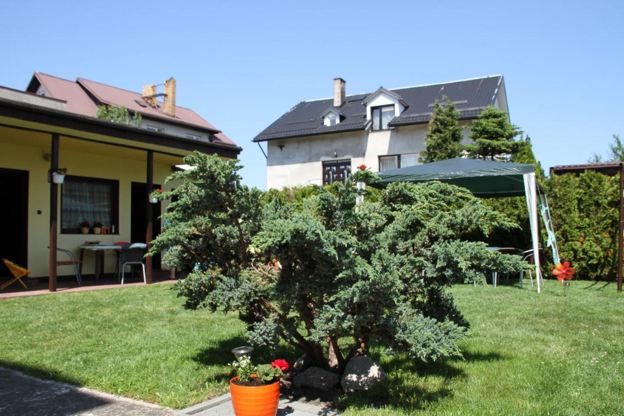 Homestay Opty - Goscinne